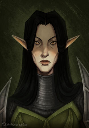 Rendered Portrait: $80